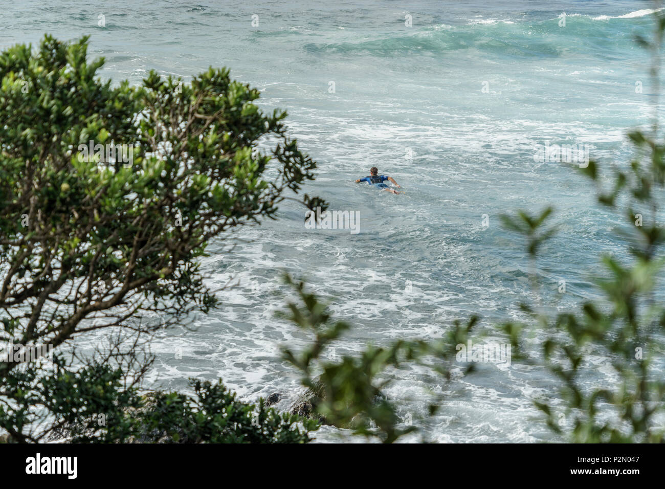 Vista aerea dell'uomo nuotare sulla tavola da surf con alberi verdi sul primo piano, Leigh Beach, Nuova Zelanda Foto Stock