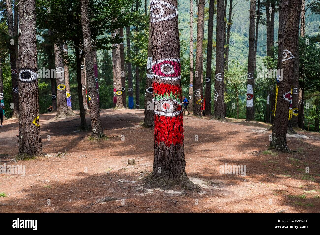 Spagna, Paesi Baschi, Kortezubi, la foresta di Oma, creato nel 1984 dallo scultore e pittore Agustín Ibarrola (Bilbao), è uno spazio magico dove l'arte diventa parte della natura, l'artista ha lasciato tracce su alberi e pietre per collegare il lavoro di artisti Paleolitico e che di artisti moderni dedicata al land art Foto Stock