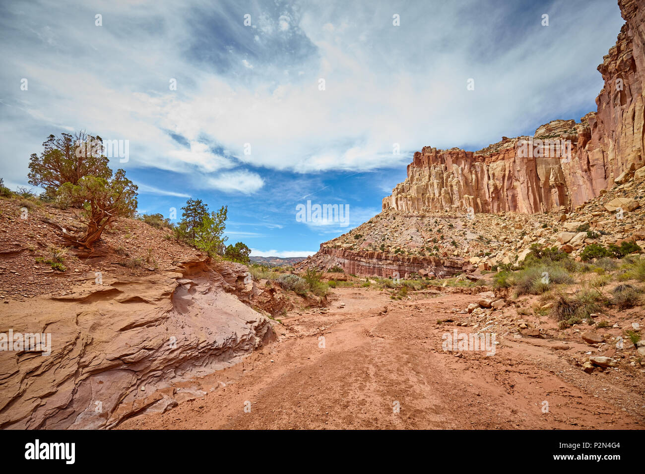 Asciugò il letto del fiume nel Parco nazionale di Capitol Reef, Utah, Stati Uniti d'America. Foto Stock