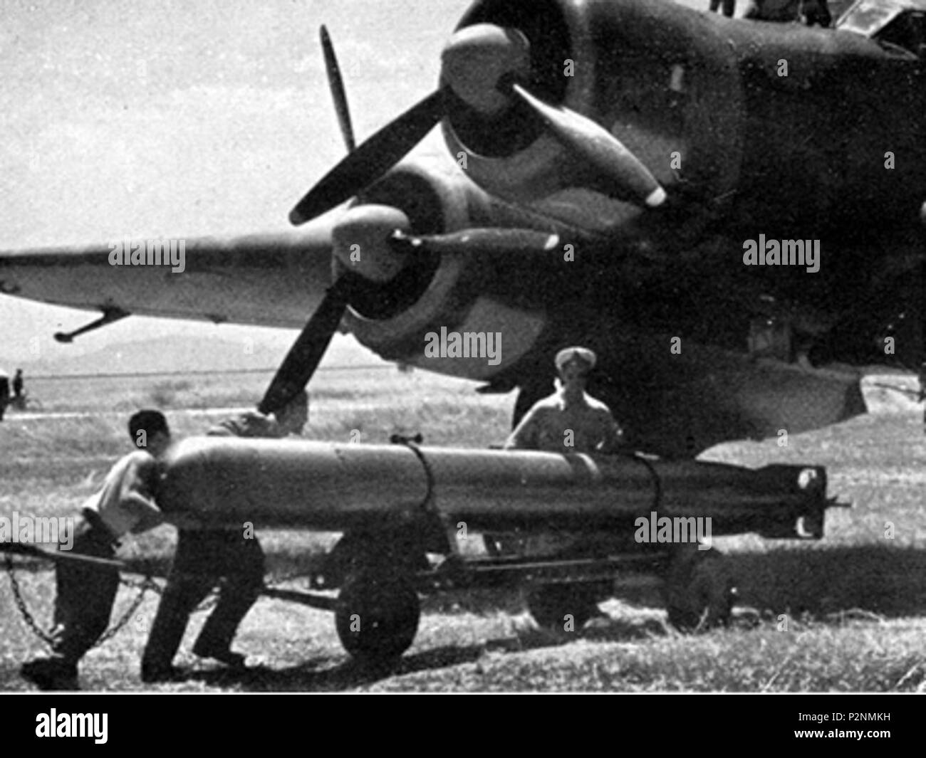 81 Savoia-Marchetti SM.79 44 Foto Stock