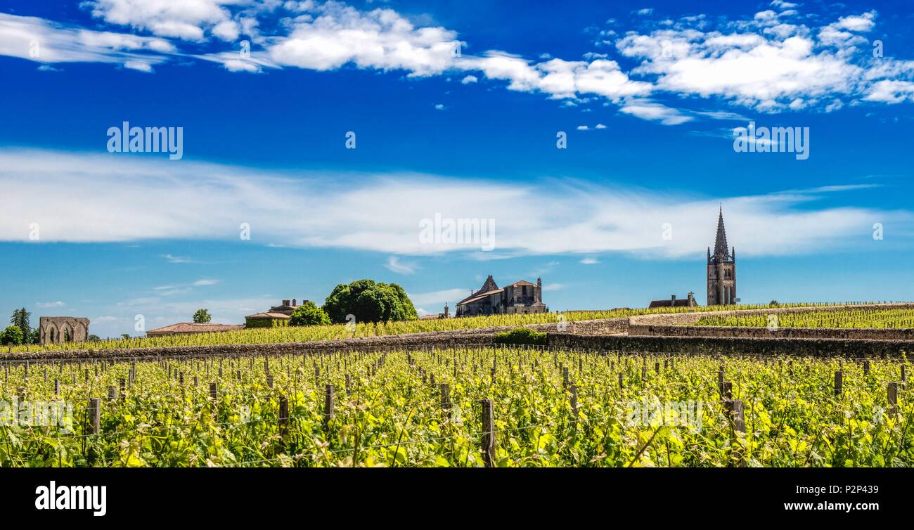 Francia, Gironde, Saint Emilion, classificato come patrimonio mondiale dall UNESCO, elencato come Premier Grand cru classe, vigneti e chiesa Foto Stock