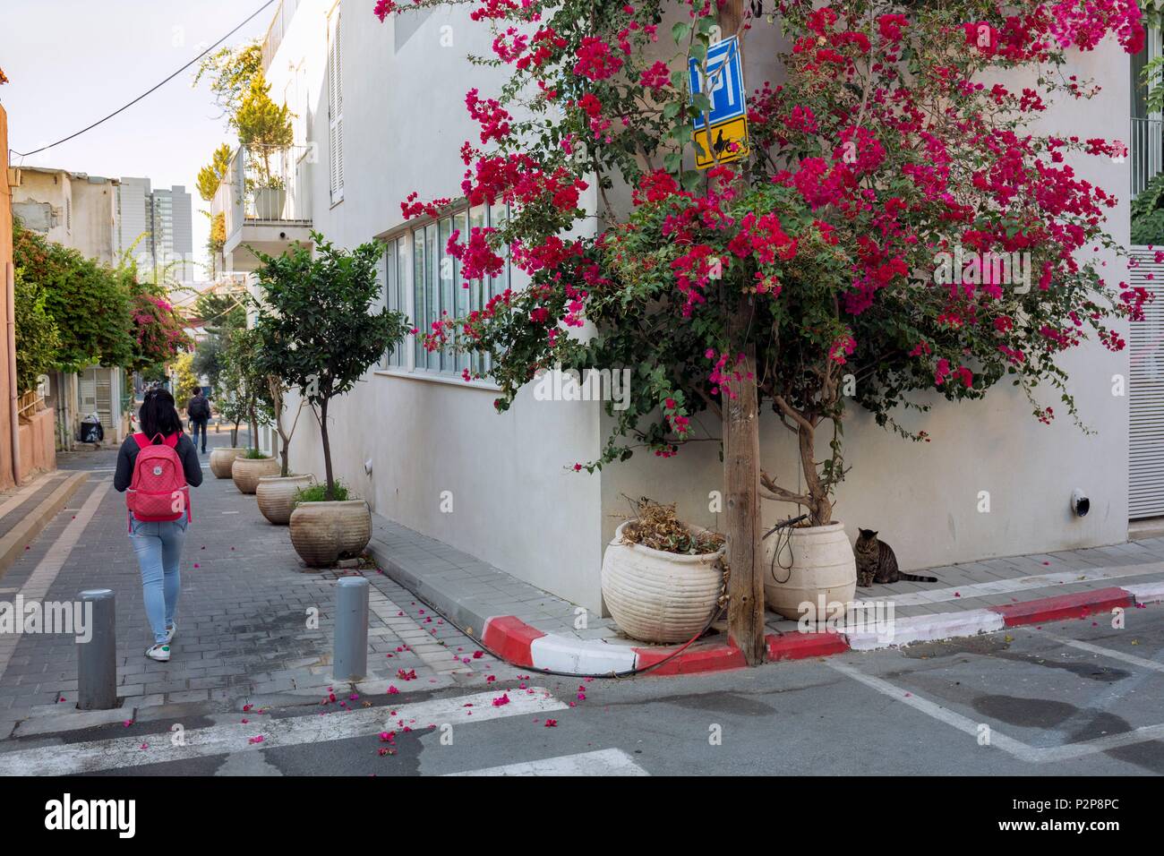 Israele, Tel Aviv, Neve Tsedek quartiere, Neve Tsedek street, giovane donna con uno zaino in un vicolo e decorate con fiori di arrampicata Foto Stock