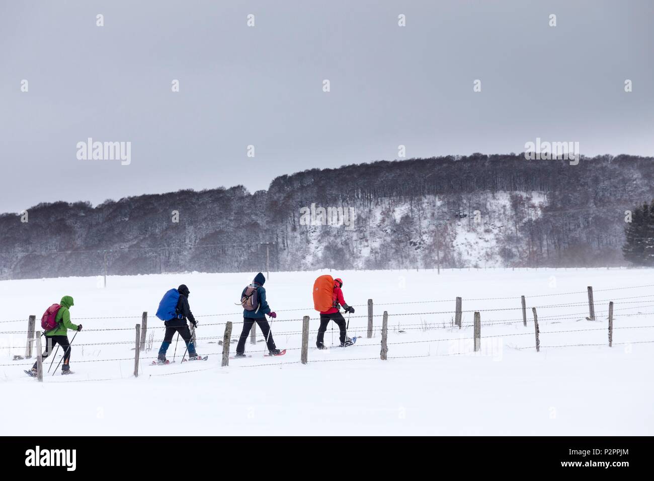 Francia, Lozère, Aubrac Parco Naturale Regionale, Nasbinals, escursioni con le racchette da neve sotto le raffiche di vento vicino alla cascata Deroc Foto Stock