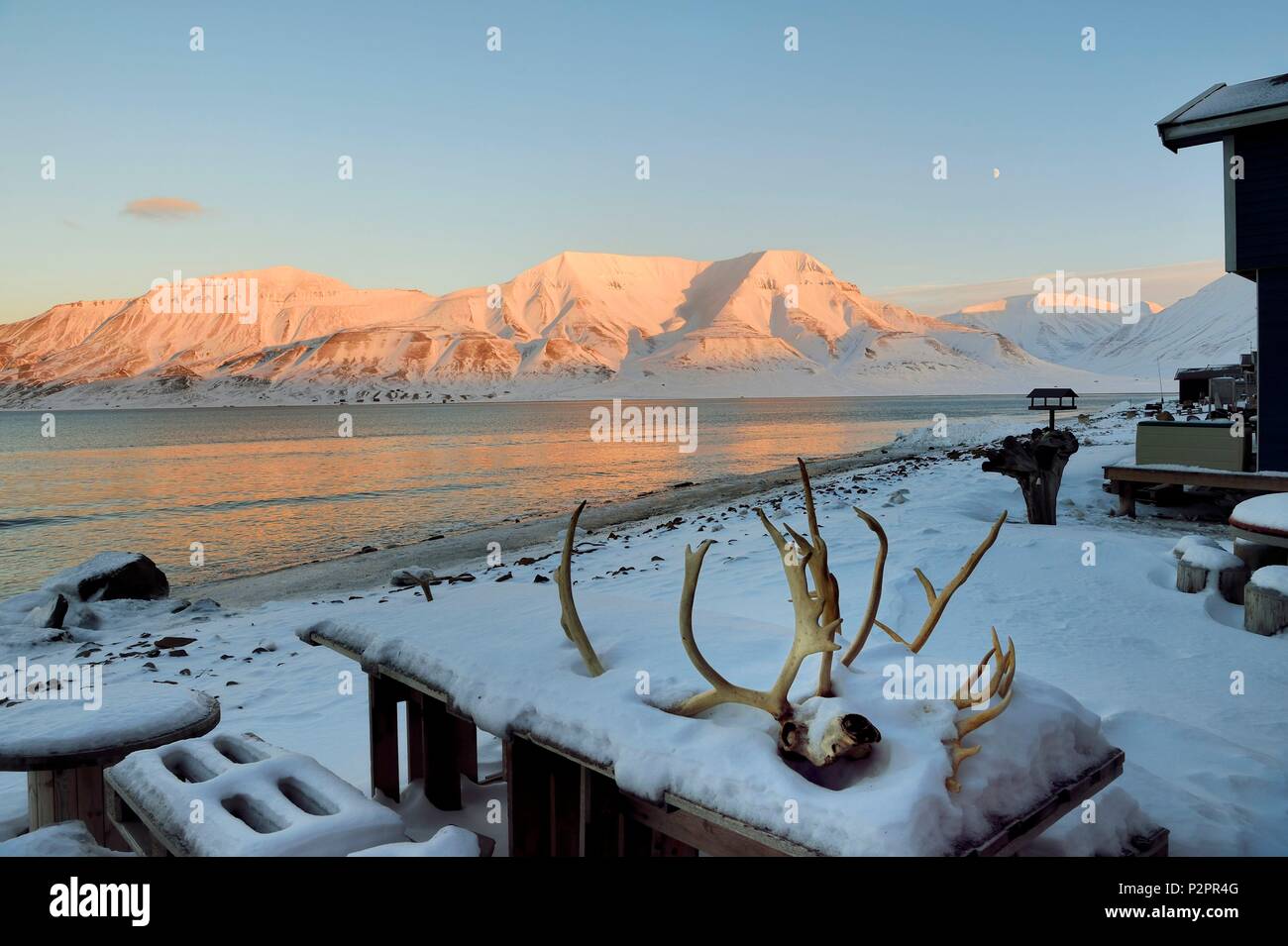 Norvegia Isole Svalbard, Spitzbergen, Longyearbyen, case di legno sul bordo del Adventfjorden, renne cranio Foto Stock