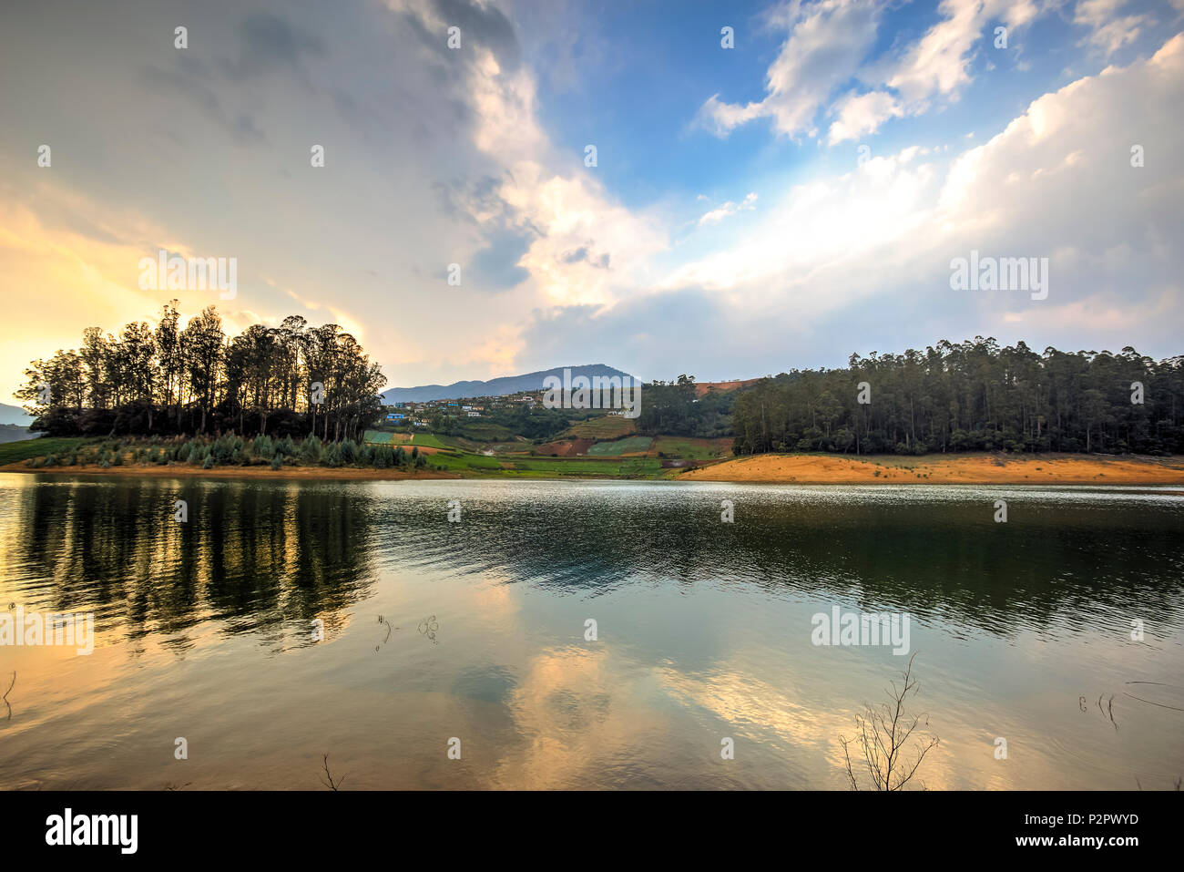 Vista drammatico di Ooty all'ora d'oro, Tamil Nadu, India Foto Stock