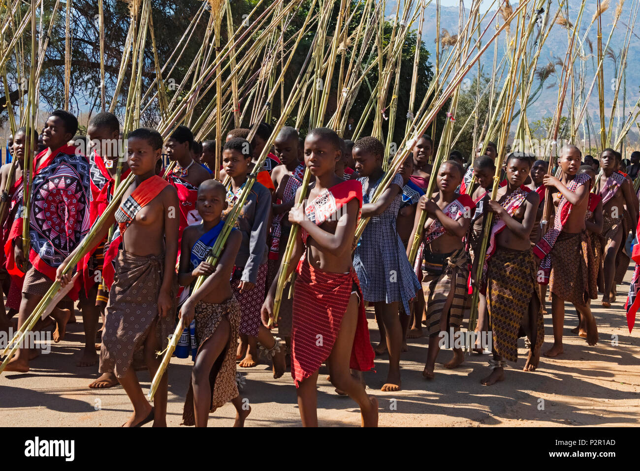 Swazi ragazze che porta canne parade presso Umhlanga (Reed Dance Festival), dello Swaziland Foto Stock