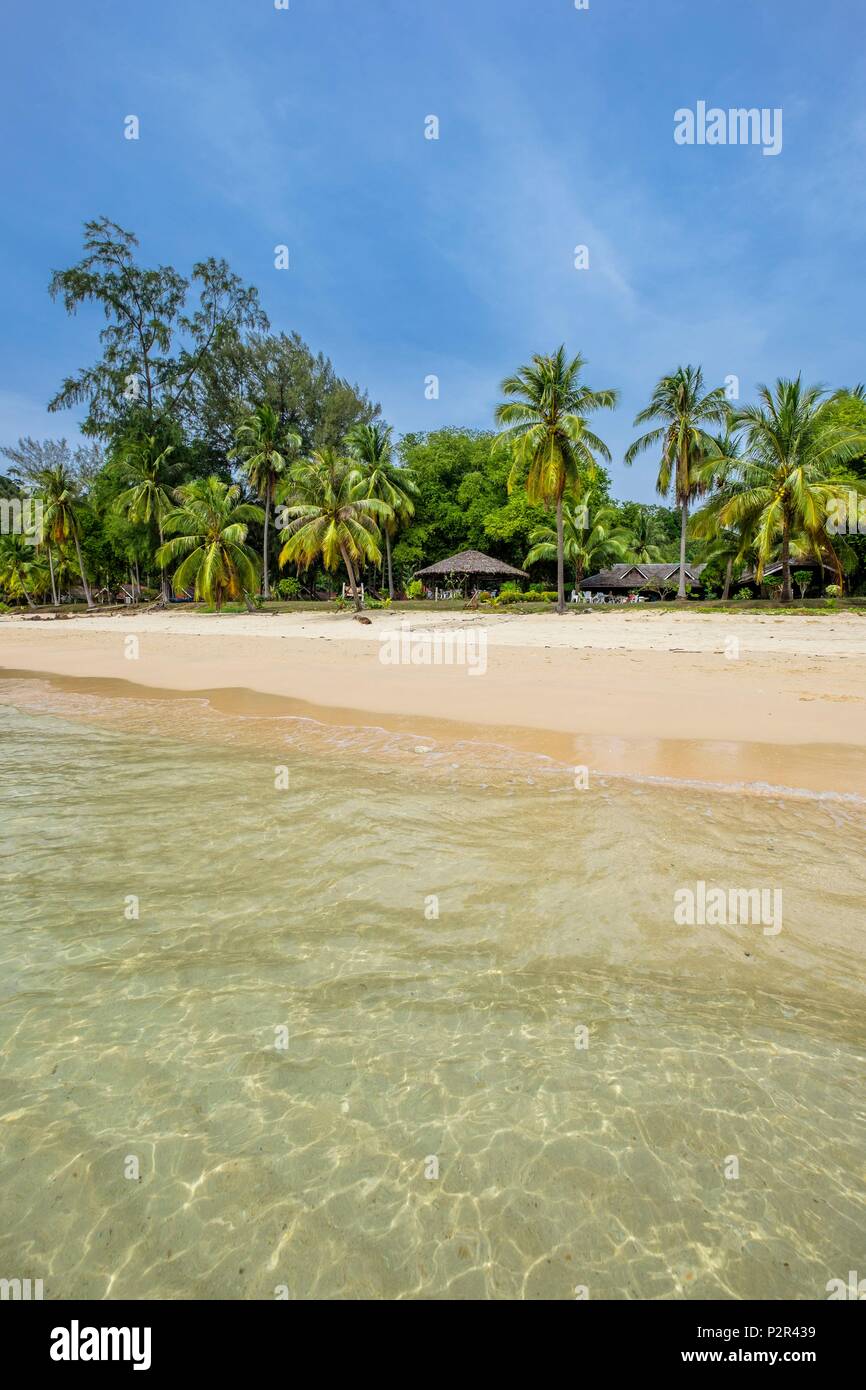 Thailandia, provincia di Satun, Mu Ko Phetra il Parco Marino Nazionale, Ko Bulon Leh island, la grande spiaggia di sabbia bianca a est dell isola e Pansand Resort sotto gli alberi di noce di cocco Foto Stock