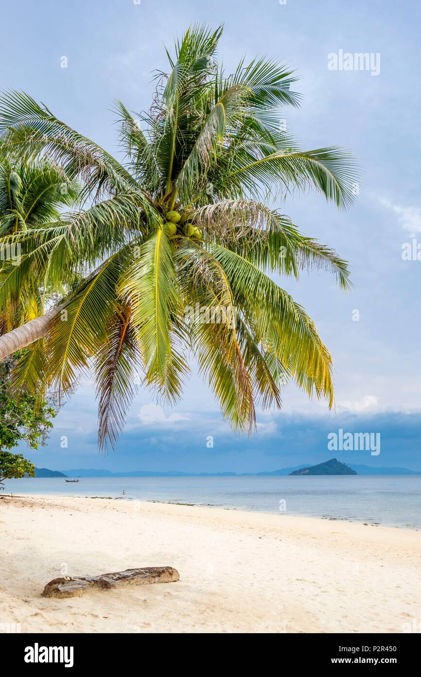 Thailandia, provincia di Satun, Mu Ko Phetra il Parco Marino Nazionale, Ko Bulon Leh island, la grande spiaggia di sabbia bianca a est dell'isola Foto Stock