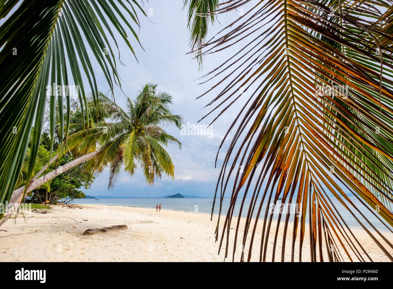 Thailandia, provincia di Satun, Mu Ko Phetra il Parco Marino Nazionale, Ko Bulon Leh island, la grande spiaggia di sabbia bianca a est dell'isola Foto Stock