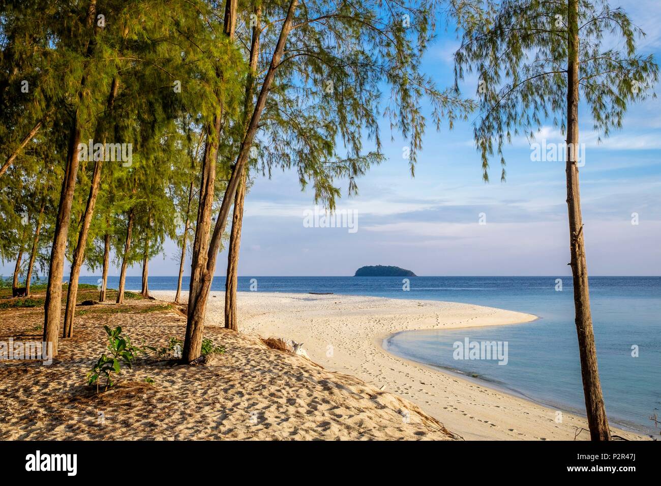 Thailandia, provincia di Satun, Tarutao National Marine Park, Ko Adang isola, Laem figlio spiaggia fiancheggiato da Casuarinas Foto Stock