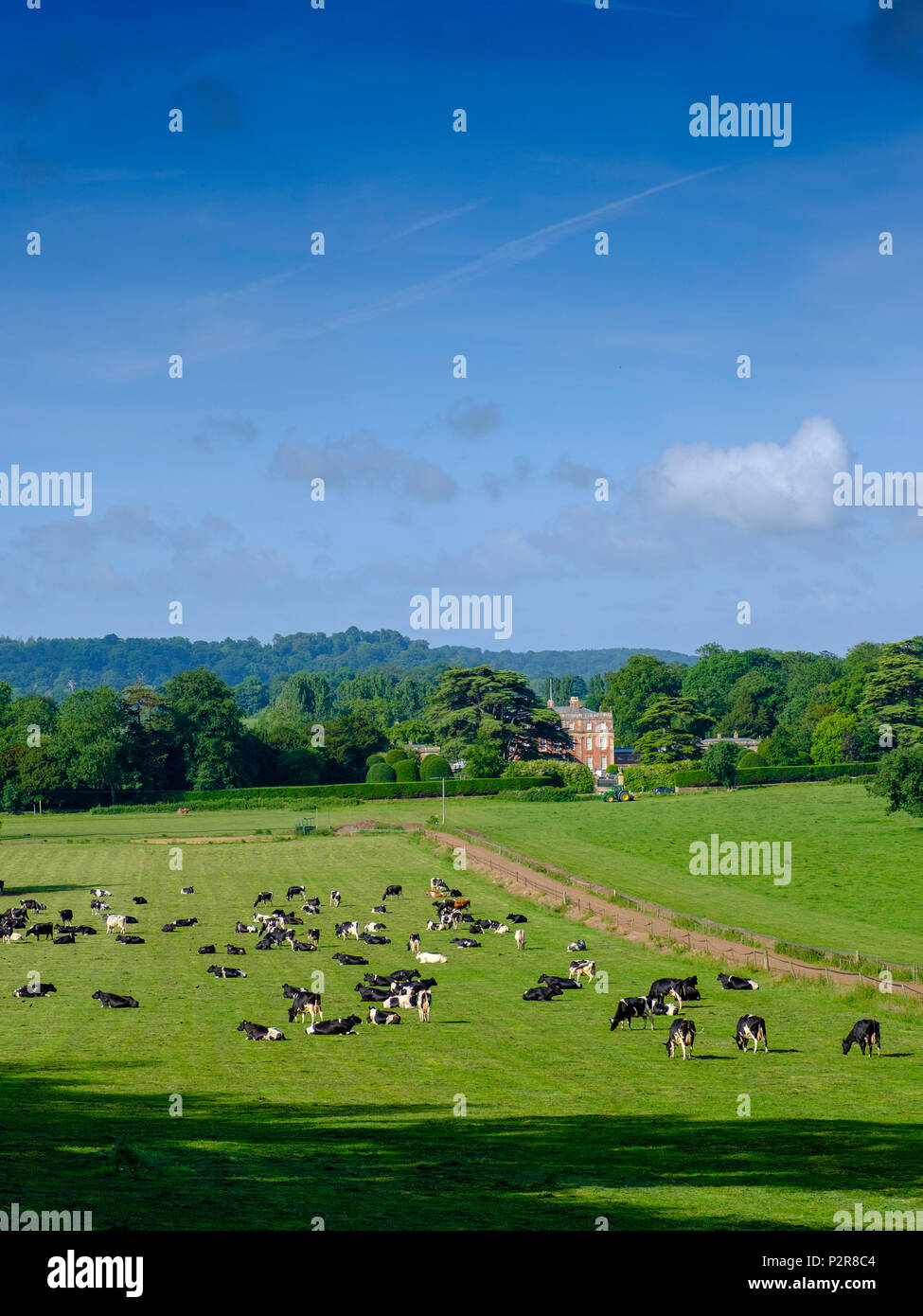 Somerset. 15 GIU, 2018. Regno Unito: Meteo Sunshine su Milborne Port nel Somerset con Ven casa costruita in Queen Anne stile architettonico; la A30 strada corre davanti. Credito: David Hansford Fotografia/Alamy Live News Foto Stock