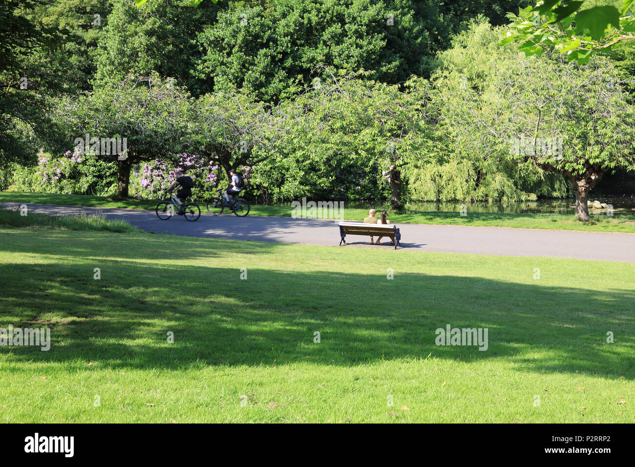 Sefton Park, un grazioso parco storico di Liverpool, il Merseyside, nel Regno Unito Foto Stock