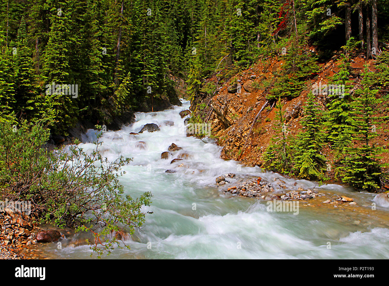 Sherbrooke Creek, British Columbia, Canada Montagne Rocciose Foto Stock