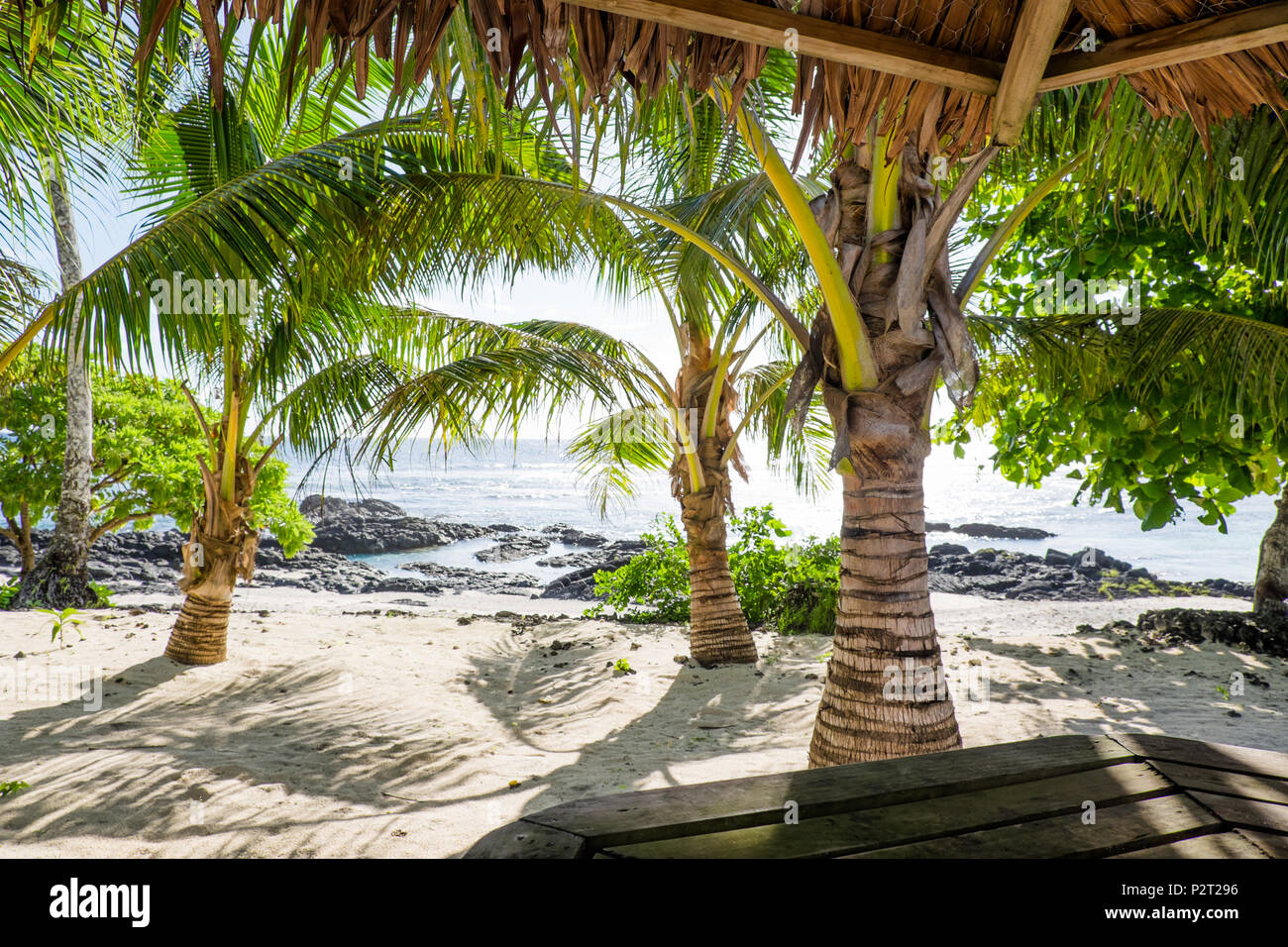 Vista da un bar tropicale sulla sabbia e spiaggia rocciosa con palme Lefaga, Isola Upolu, Samoa Occidentale e Sud Pacifico Foto Stock