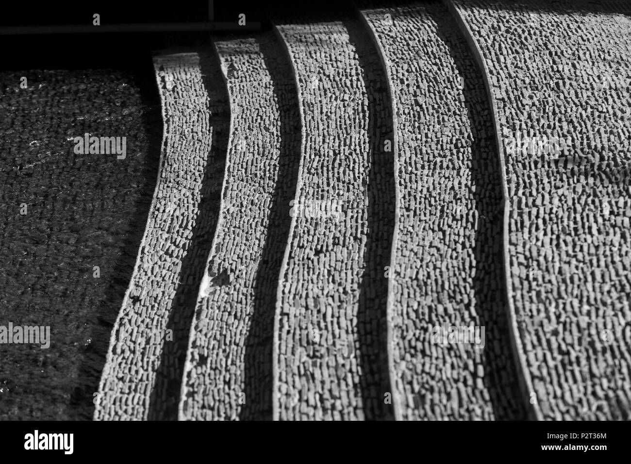 Particolare del giardino presso il Getty Center. Aug, 2016. Los Angeles, California, U.S.A. Foto Stock