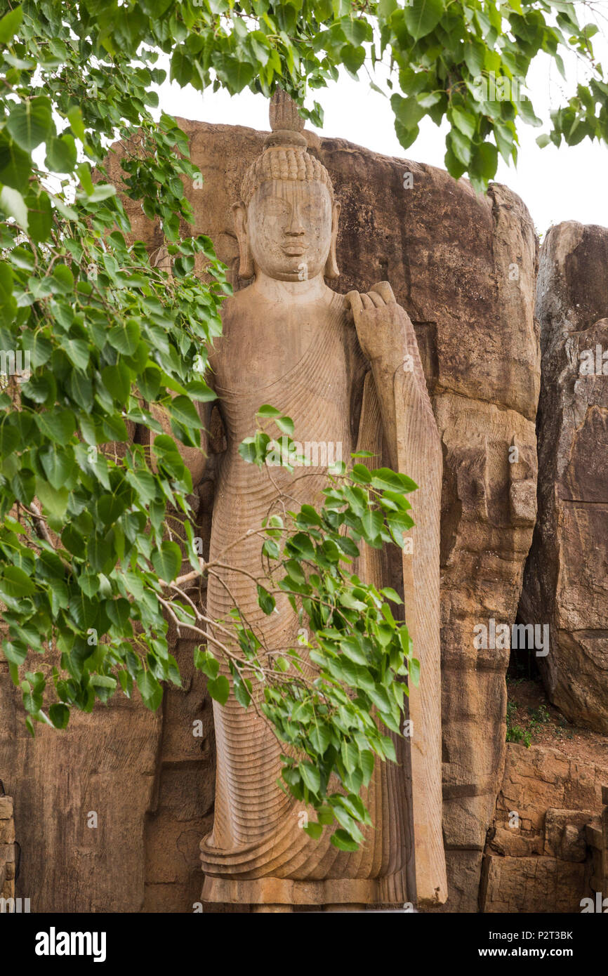 Avukana statua del Buddha, Sri Lanka. Luglio 2017 Foto Stock
