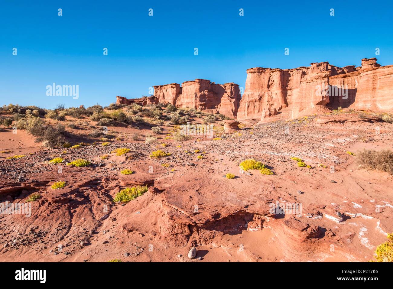 Argentina, La Rioja provincia, vicino a Villa Union, Talampaya National Park, Parque Nacional Talampaya elencati come patrimonio mondiale dall' UNESCO, Talampaya canyon Foto Stock