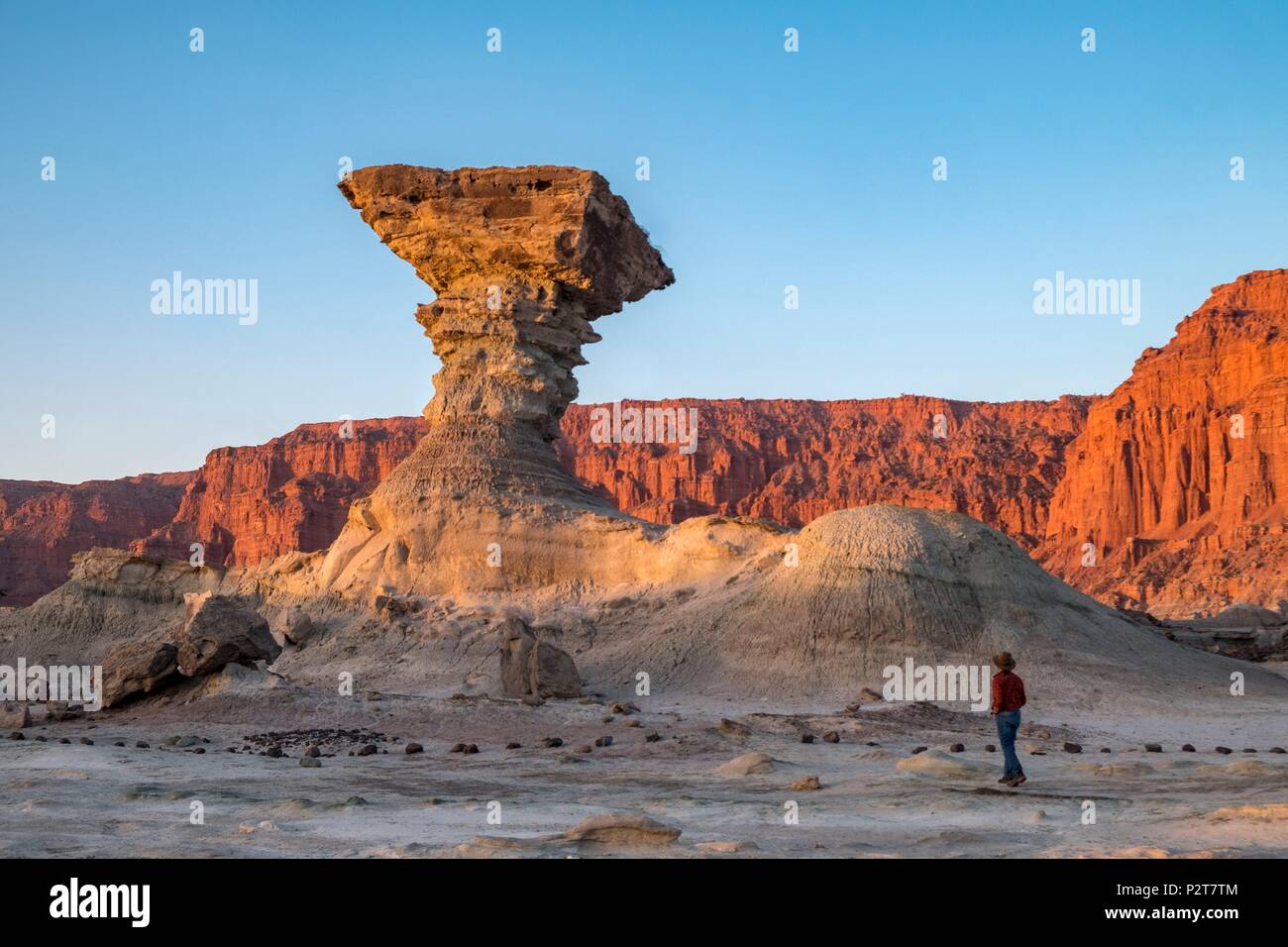 Argentina, San Juan provincia, vicino San Augustin de Valle Fertil, Valle de la Luna, Valle della Luna, Parque Ischigualasto elencati come patrimonio mondiale dall' UNESCO, il pilastro Rock, Hongo Foto Stock