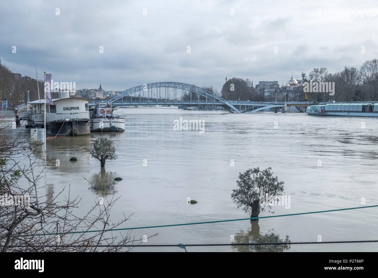 Francia, Parigi, zona elencata come patrimonio mondiale dall'UNESCO, l'alluvione del fiume Senna Foto Stock