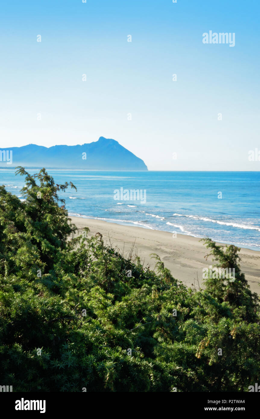 Vista della spiaggia di Sabaudia con Capo Circeo - Italia Foto Stock
