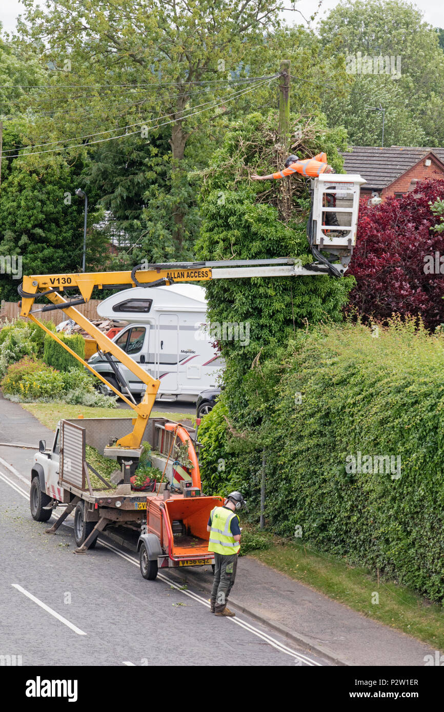 Personale Openreach che pulisce la vegetazione attorno a un palo telegrafico, Inghilterra, Regno Unito Foto Stock