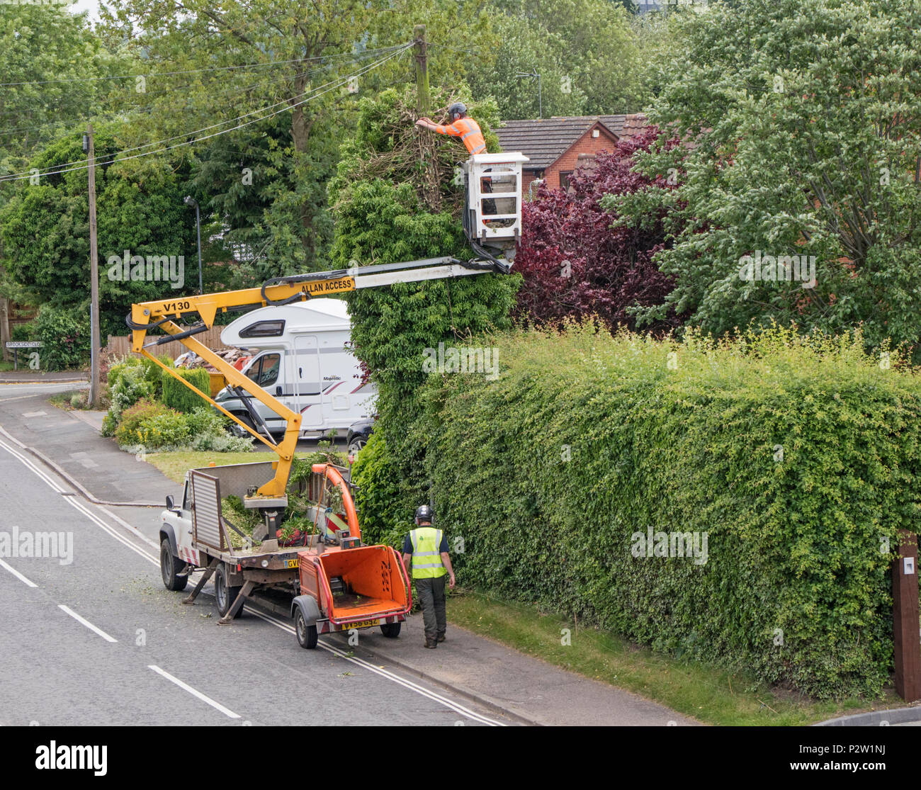 Personale Openreach che pulisce la vegetazione attorno a un palo telegrafico, Inghilterra, Regno Unito Foto Stock