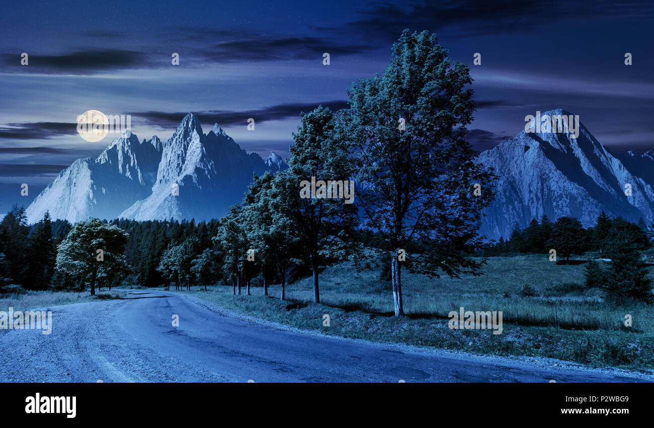 Alberi lungo la strada che porta nella montagna di notte in luna piena. composito paesaggio montuoso con picchi rocciosi. bella estate natura con gorgeou Foto Stock
