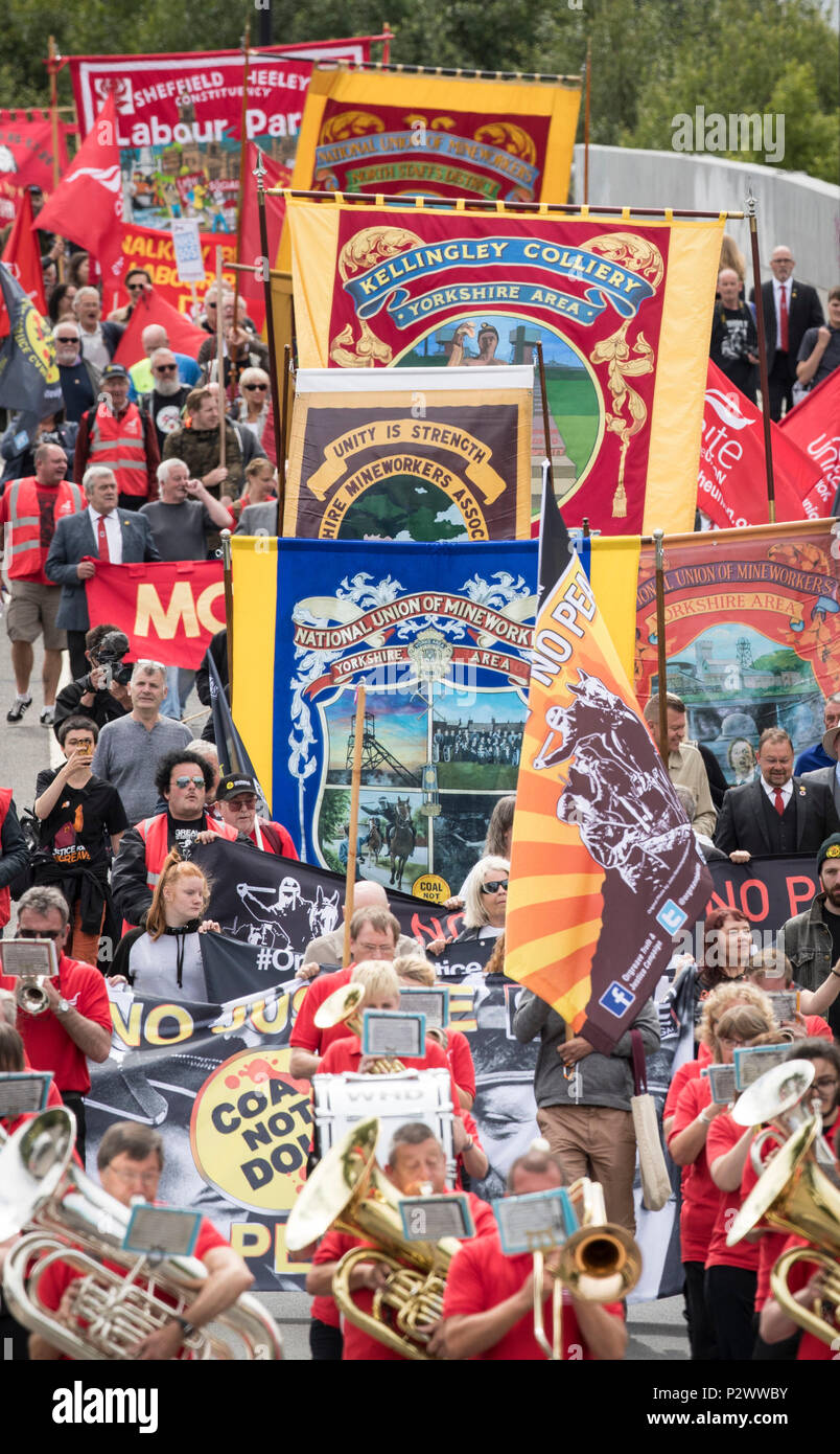 I manifestanti un appello al governo per attuare una pubblica inchiesta durante l annuale Orgreave Rally in Sheffield, organizzata dall'Orgreave verità e giustizia campagna, commemorando il trentaquattresimo anniversario degli eventi a Orgreave. Foto Stock