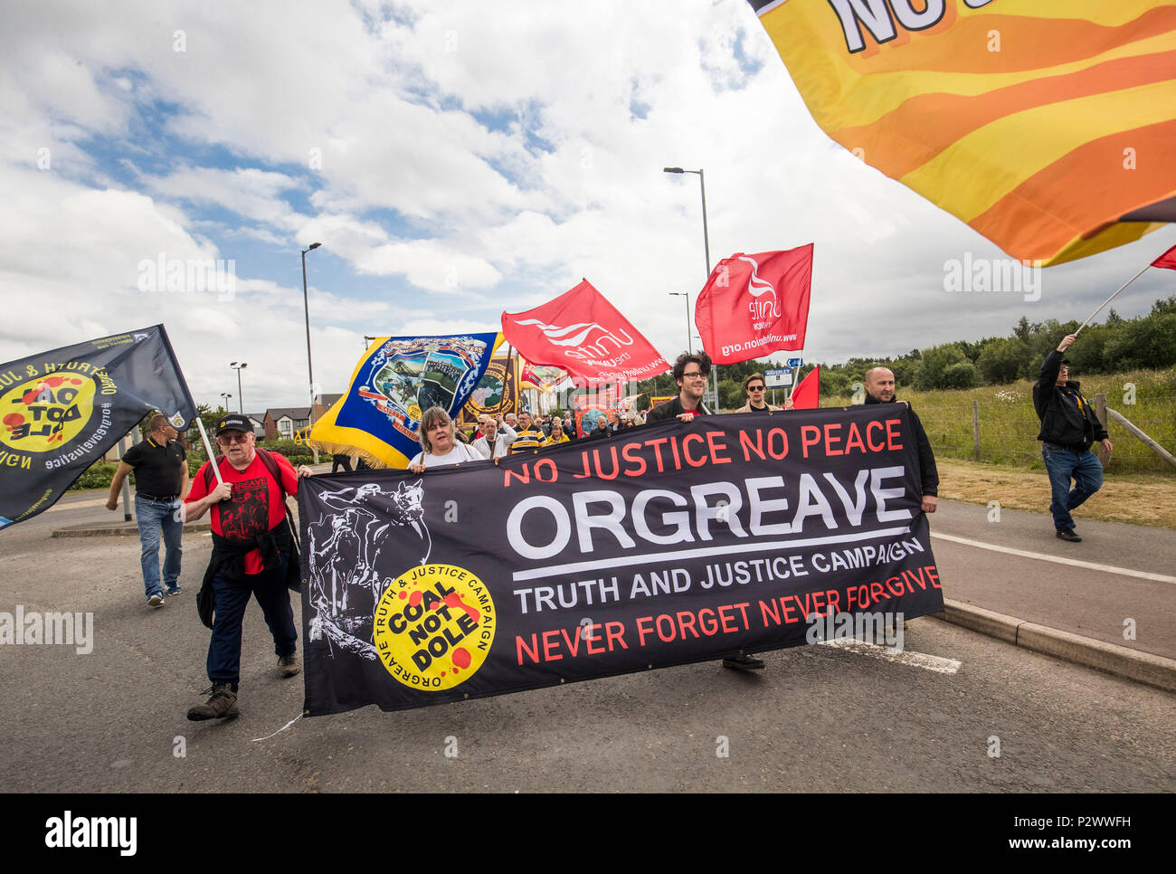 I manifestanti un appello al governo per attuare una pubblica inchiesta durante l annuale Orgreave Rally in Sheffield, organizzata dall'Orgreave verità e giustizia campagna, commemorando il trentaquattresimo anniversario degli eventi a Orgreave. Foto Stock