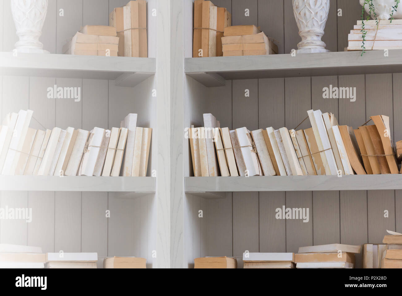 Scaffale è il libro bianco con legno ripiano bianco sfondo, effetti luce. Foto Stock
