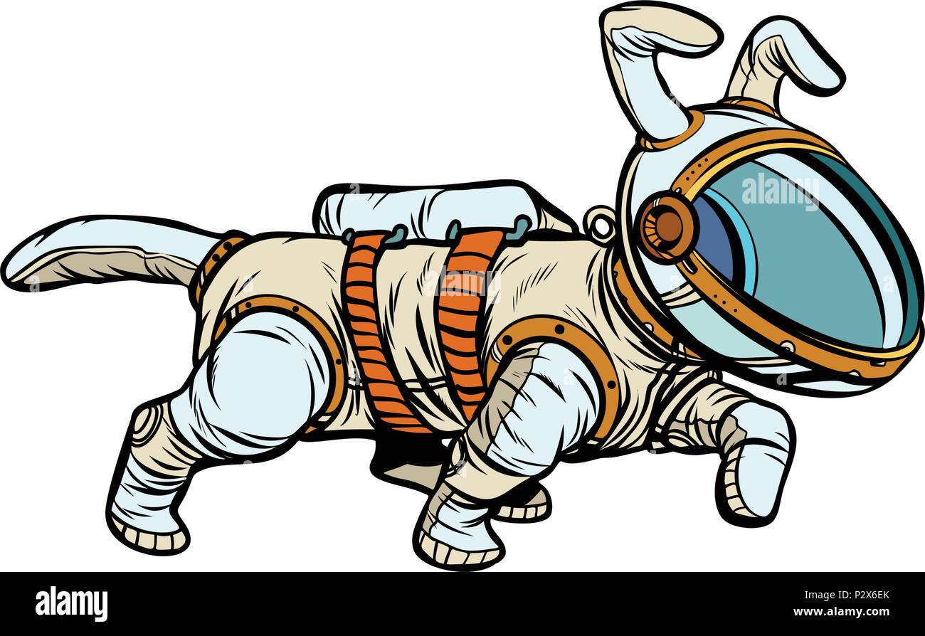 Cane astronauta Illustrazione Vettoriale