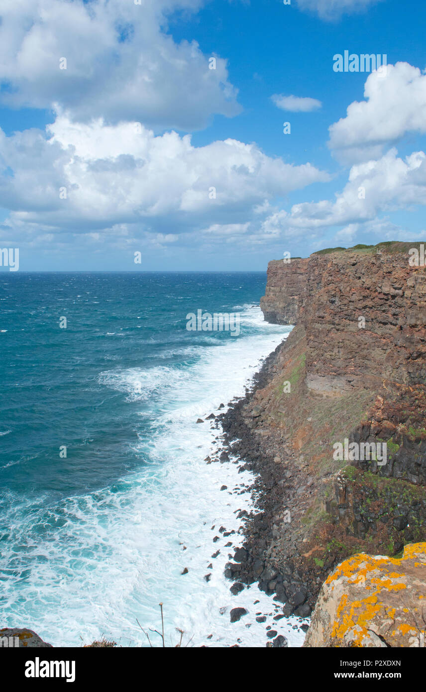 La scogliera di Capo Nieddu cape, Sardegna, Italia, Europa Foto Stock