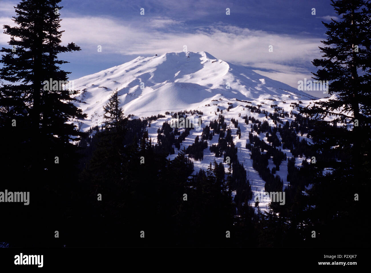 Mount Bachelor, Deschutes National Forest, Oregon Foto Stock