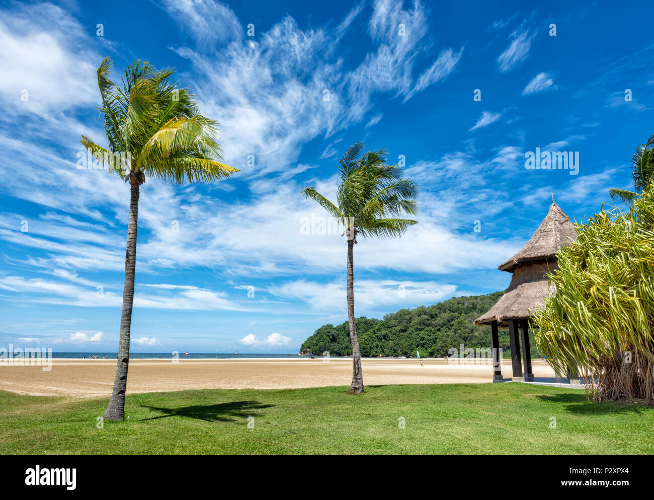 Due palme su una spiaggia di sabbia bianca a Kota Kinabalu, Borneo Malesia sul bordo del Mare della Cina del Sud Foto Stock