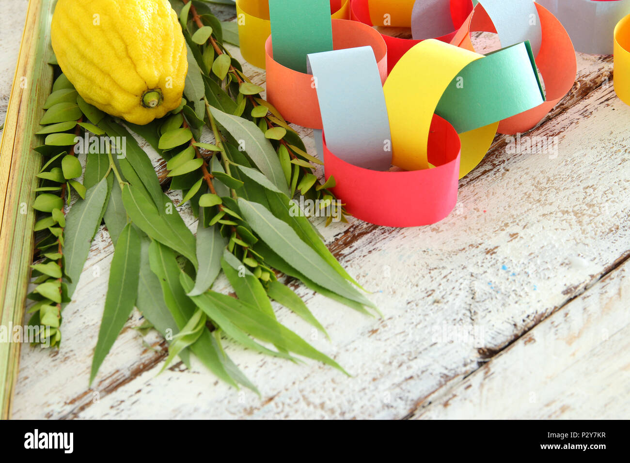 Festa ebraica di Sukkot. Simboli tradizionali (le quattro specie): Etrog, lulav, hadas, arava Foto Stock