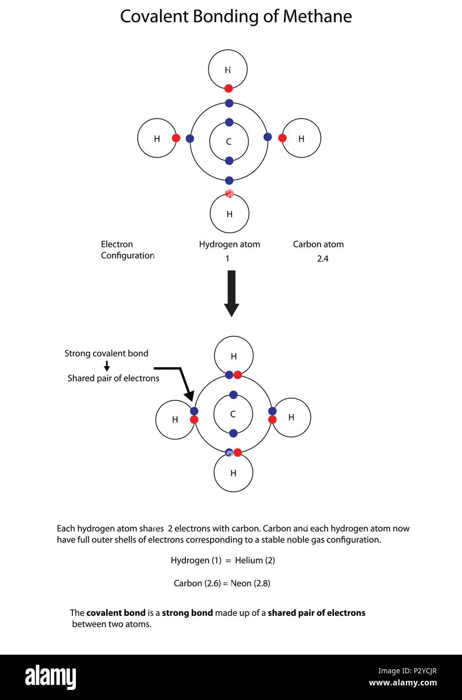 Diagramma per illustrare il legame covalente in metano con una completamente etichettate schema. Illustrazione Vettoriale