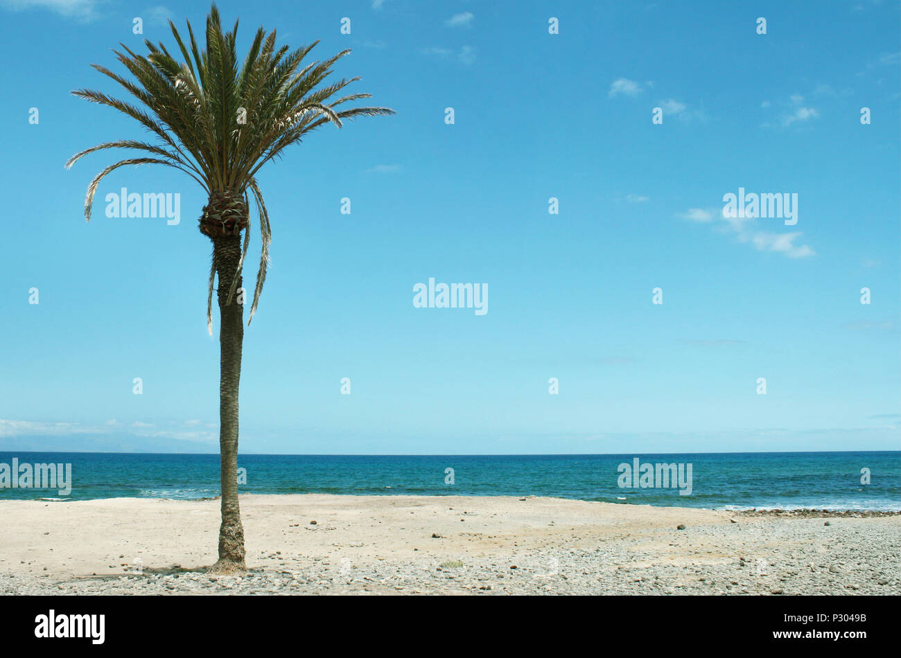 Bellissimo paesaggio marino con un isolato Palm tree Foto Stock