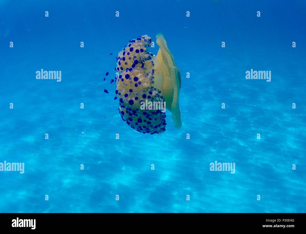 Mare mediterranea Foto Stock