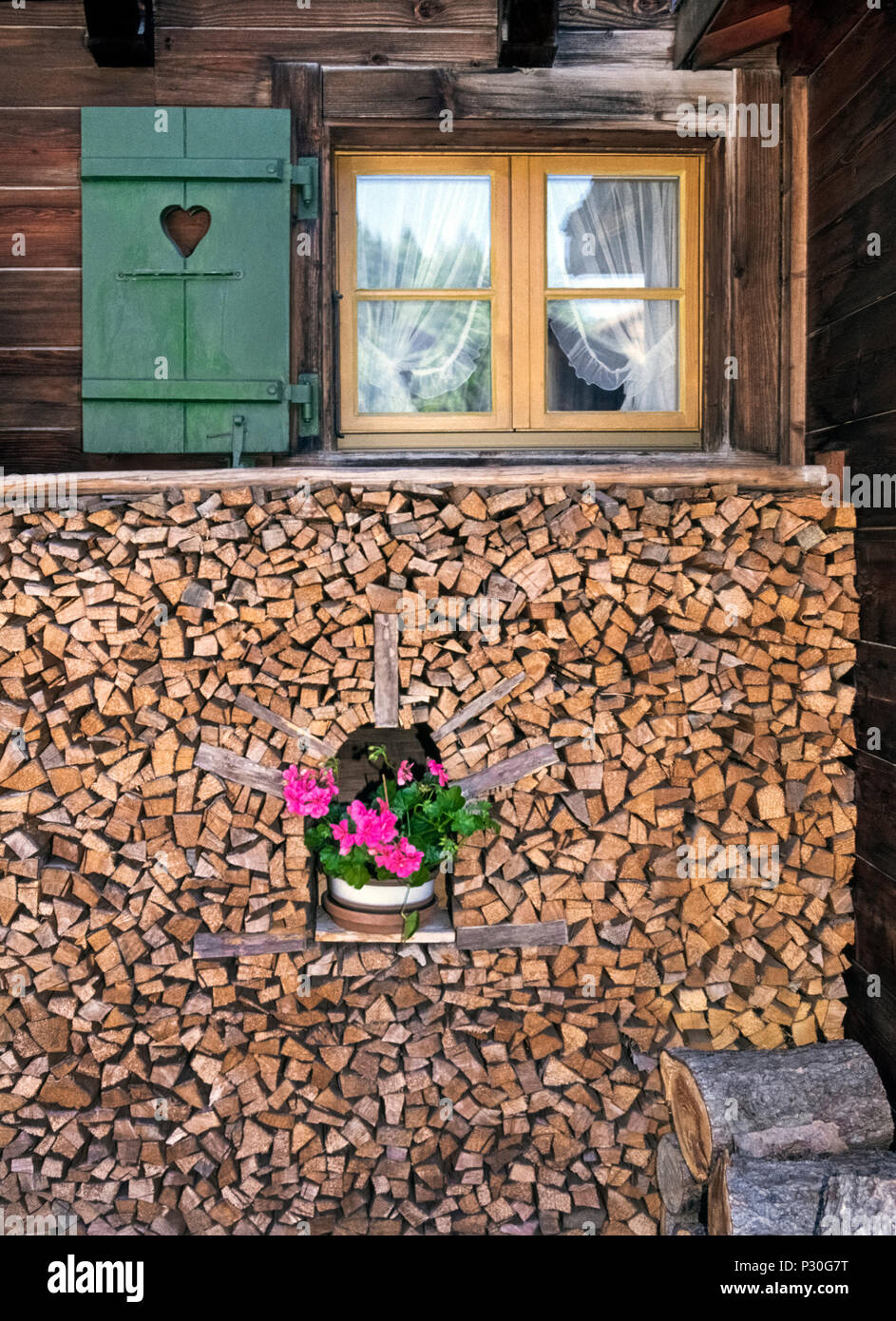 Taglio fresco e spaccare la legna è sapientemente impilati attorno ad una pianta in vaso con fiori di colore rosa al di fuori di un casale rustico in Oberland Bernese, la Scenic highland regione in Svizzera che attira escursionisti e sciatori per i suoi villaggi alpini che includeva Grindelwald, Lauterbrunnen, Wengen e Murren. Stufe a legna sono stati per lungo tempo comune in molte case ma non vi è la preoccupazione che l' inquinamento dell' aria dal fumo di legno può essere malsana nonché ostacolare lo svizzero resorts' vedute panoramiche. Foto Stock