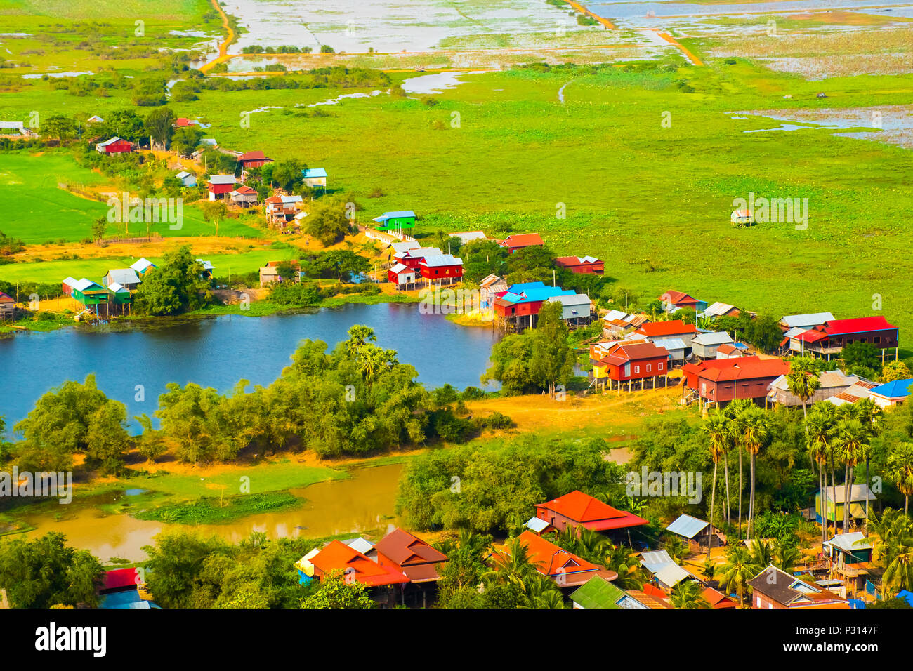 Villaggio galleggiante Phnom Krom, verdi campi di riso, il Tonle Sap, Siem Reap, Cambogia Foto Stock