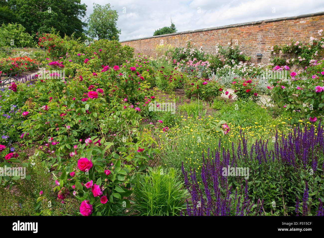 Viste di Dunham Massey proprietà del National Trust e giardini vicino Altrincham, Cheshire Foto Stock