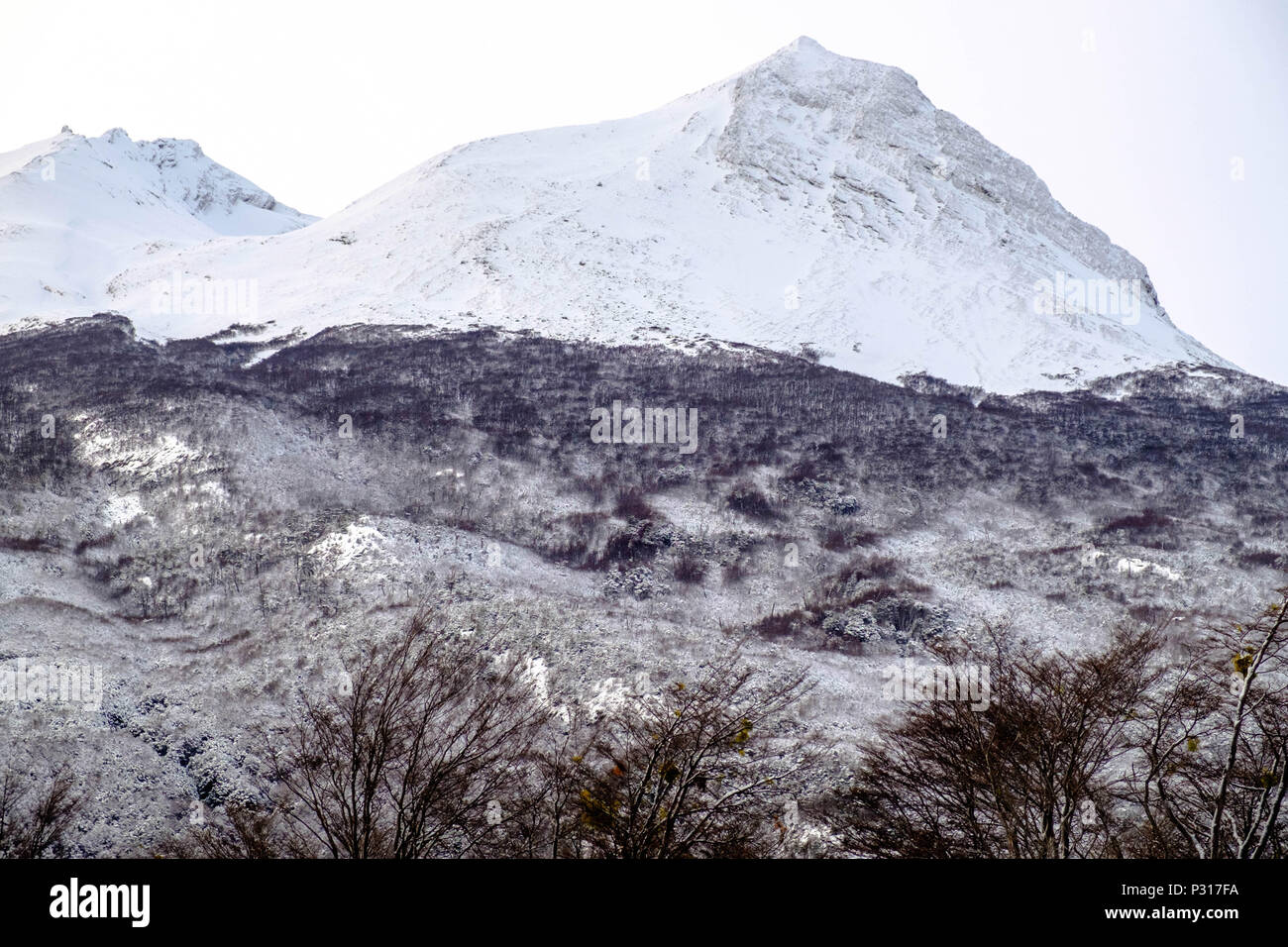 Le montagne vicino a Ushuaia ha ricevuto un sacco di neve fresca. Questo uno si trova sulla strada per il parco nazionale di Tierra del Fuego. Foto Stock