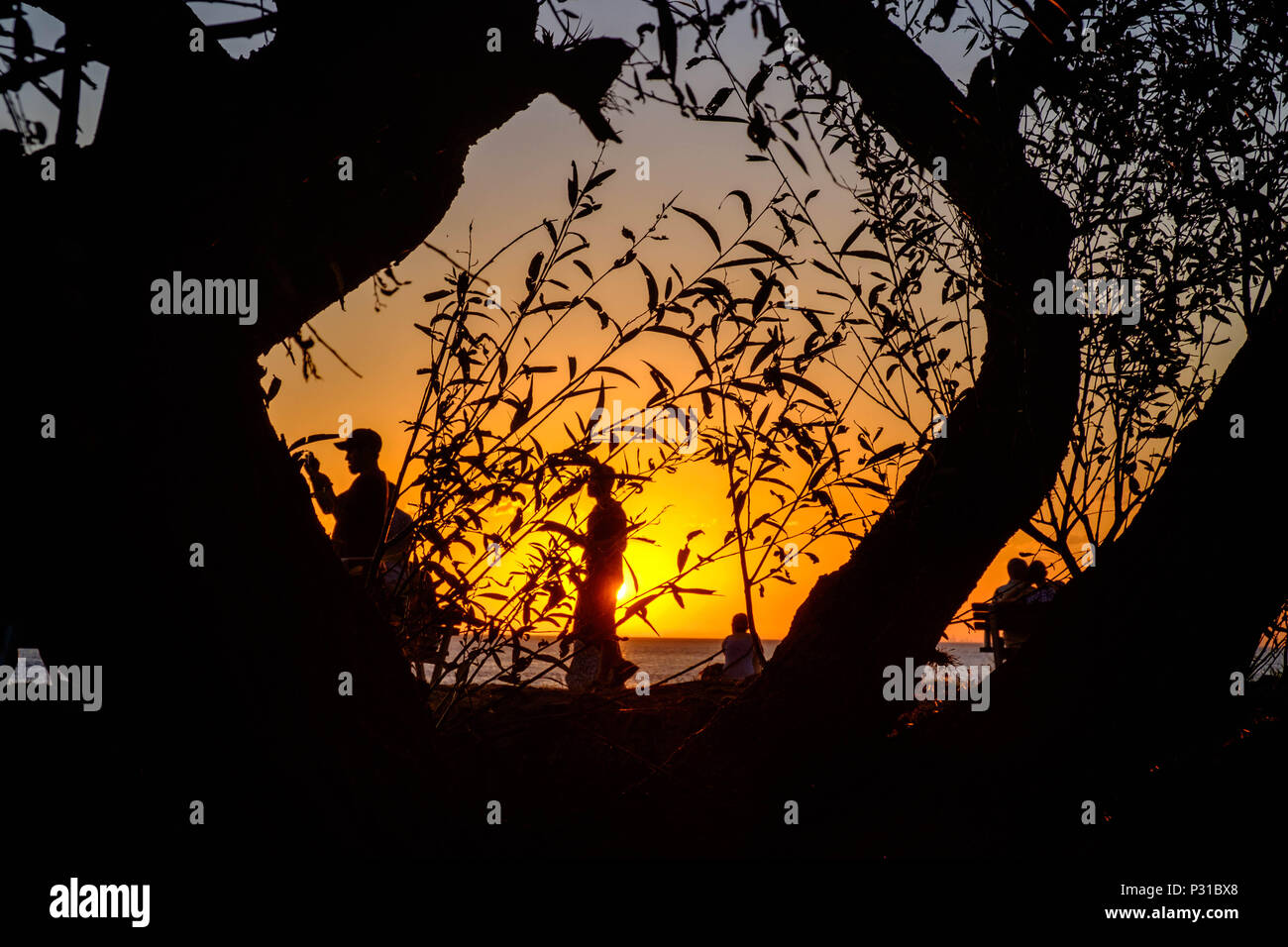 Il sole tramonta in l'uruguayano città di Colonia del Sacramento. La città offre dei meravigliosi tramonti e la gente va a godersi lo spettacolo. Foto Stock