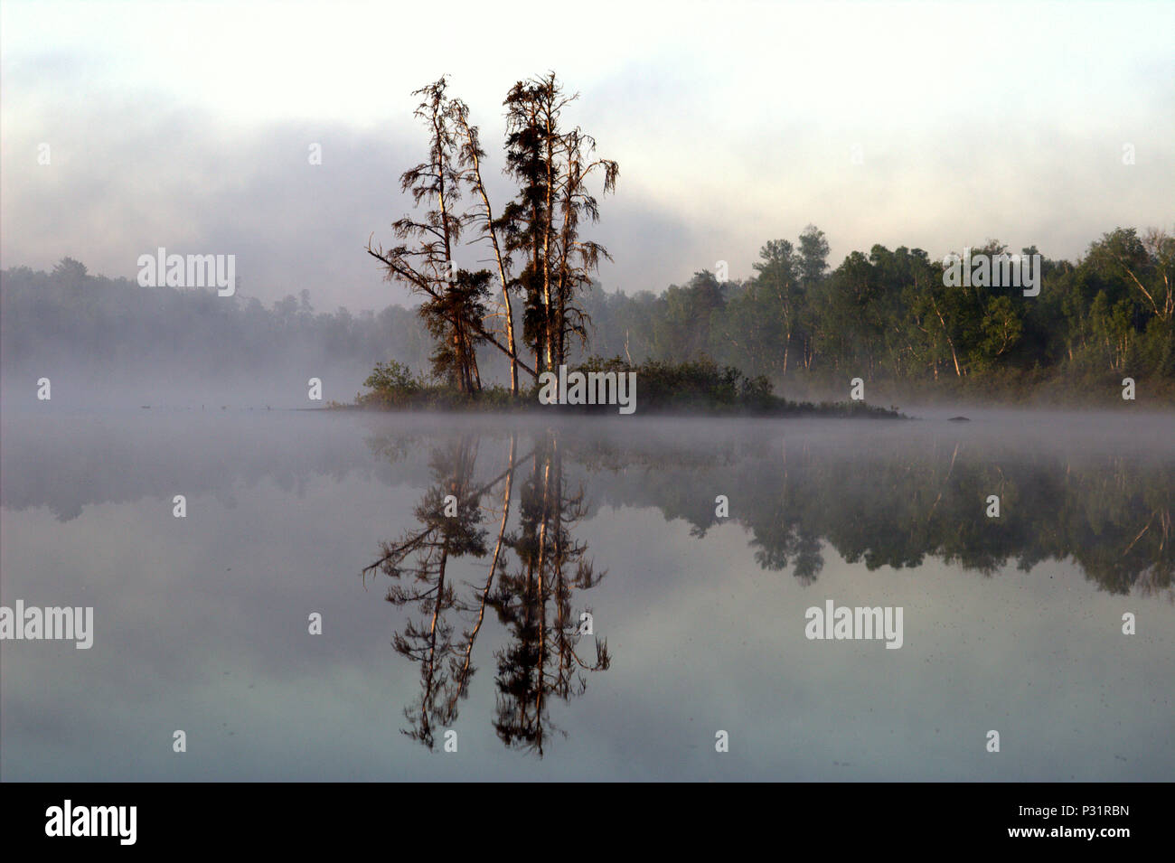 Deserto superstite dell'isola Foto Stock