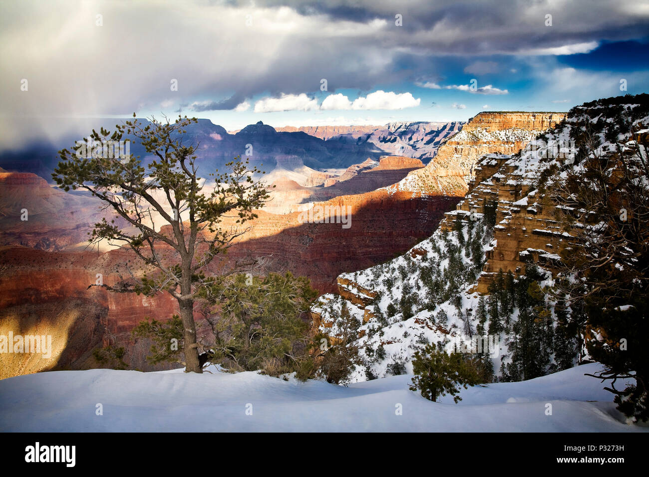 Inverno al margine sud del Grand Canyon, Arizona. Foto Stock