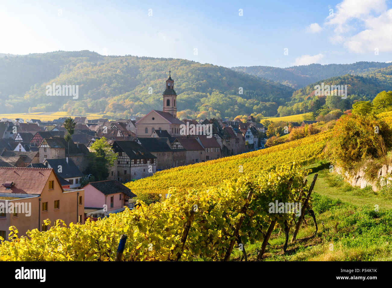 Autunno magnifico paesaggio con vigneti vicino al villaggio storico di Riquewihr, Alsazia, Francia - Europa. Viaggio colorato e la vinificazione dello sfondo. Foto Stock