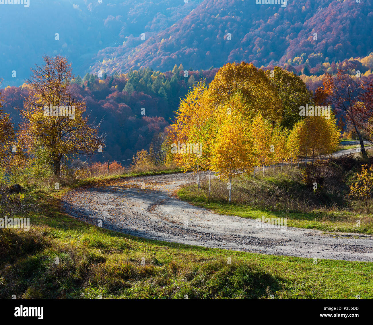 Sporco strada secondaria a mountain pass in autunno le montagne dei Carpazi e multicolore di colore giallo-arancio-rosso-marrone alberi su pendii (Rakhiv pass, Transcarpa Foto Stock
