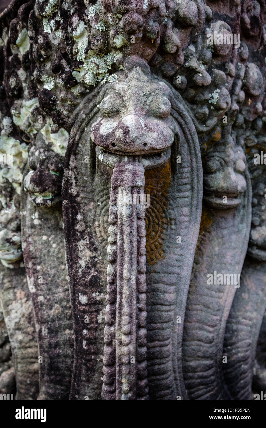 Il serpente morde la coda, scultura in pietra a Vat Phou tempio complesso, provincia di Champasak, Laos Foto Stock