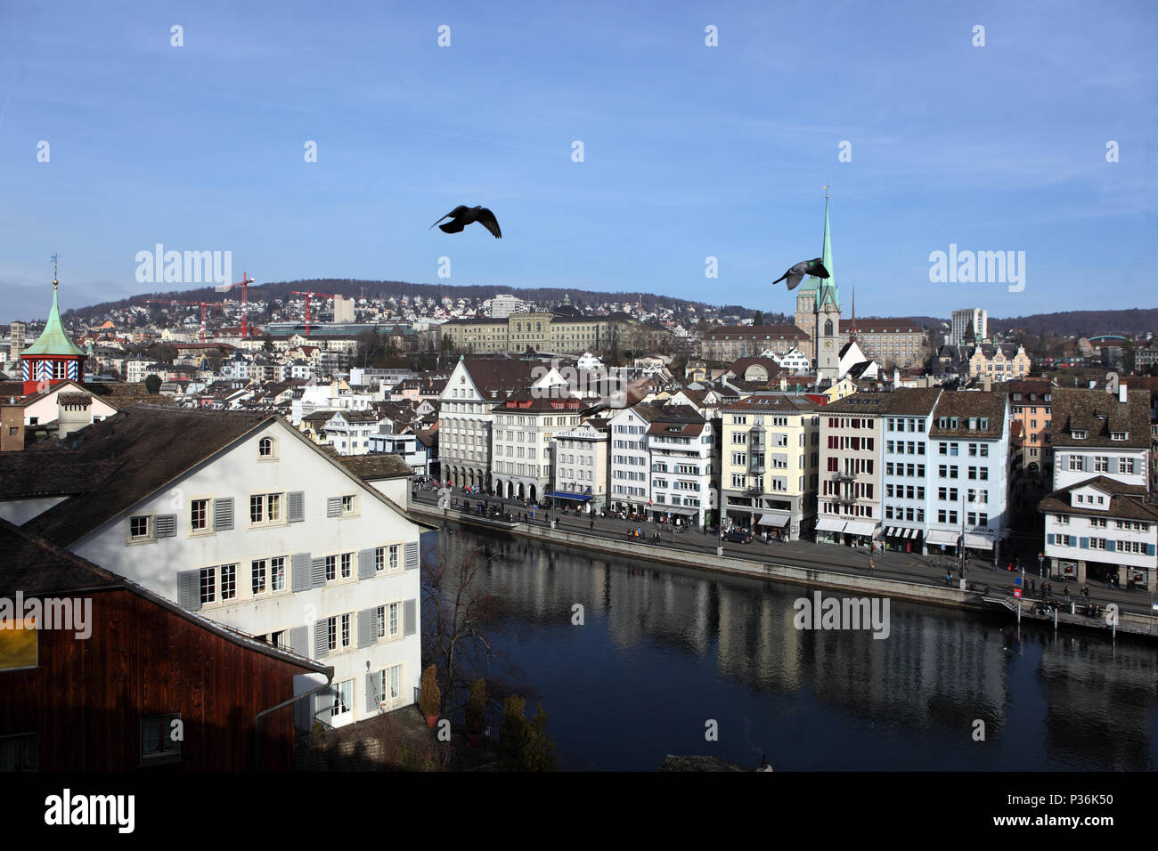 Zurigo, Svizzera, vista dal Lindenhof sulla Limmat e la Predigerkirche Foto Stock