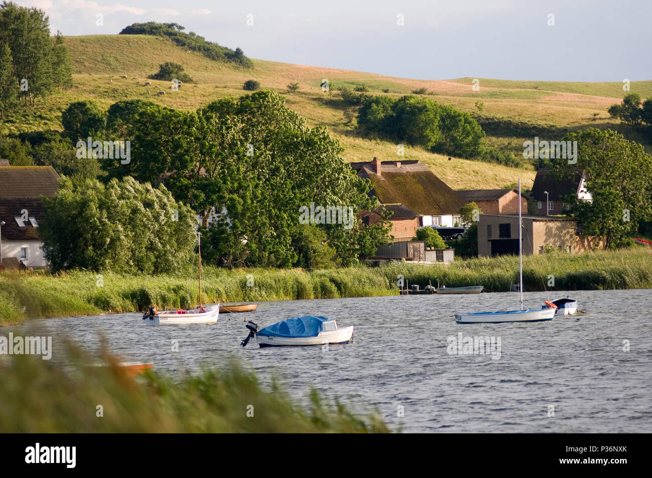 Gager, Germania, guardando oltre la Hagensche Wiek su Gager Foto Stock